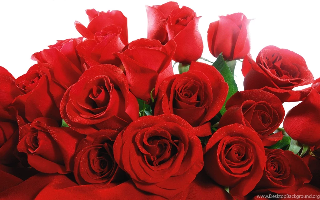 Valentine Screensavers Wallpapers 2015 Grasscloth Wallpapers