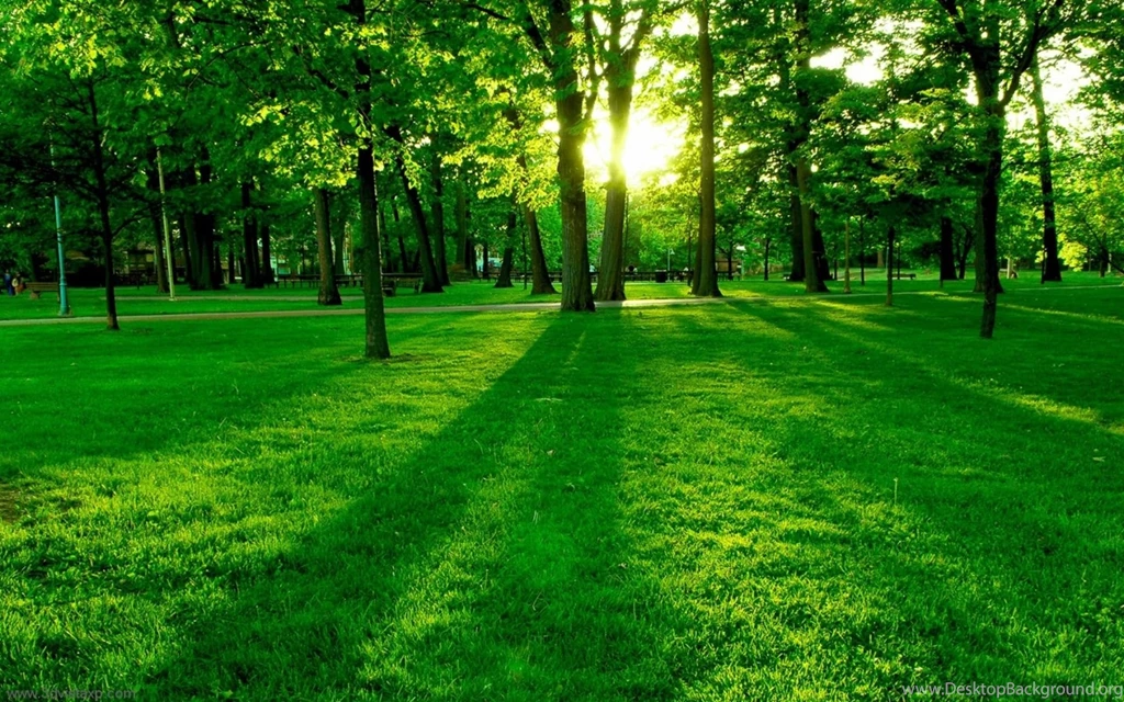 1920x1080px Beautiful Desktop Hd Wallpapers