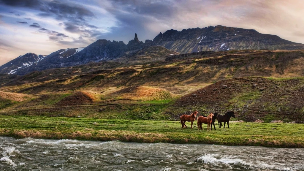 17 1366x768 Wild Horses Desktop PC And Mac Wallpapers 926 :: Wild ...