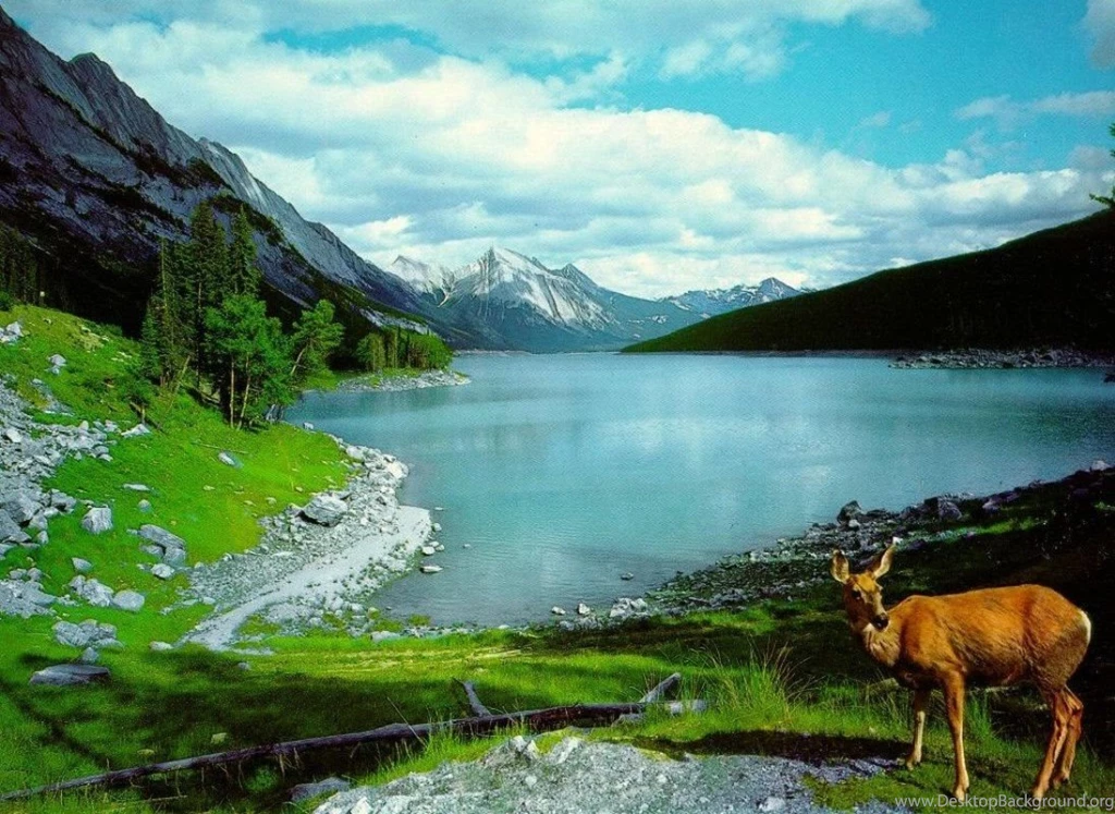 Most Beautiful Backgrounds Wallpapers Cave