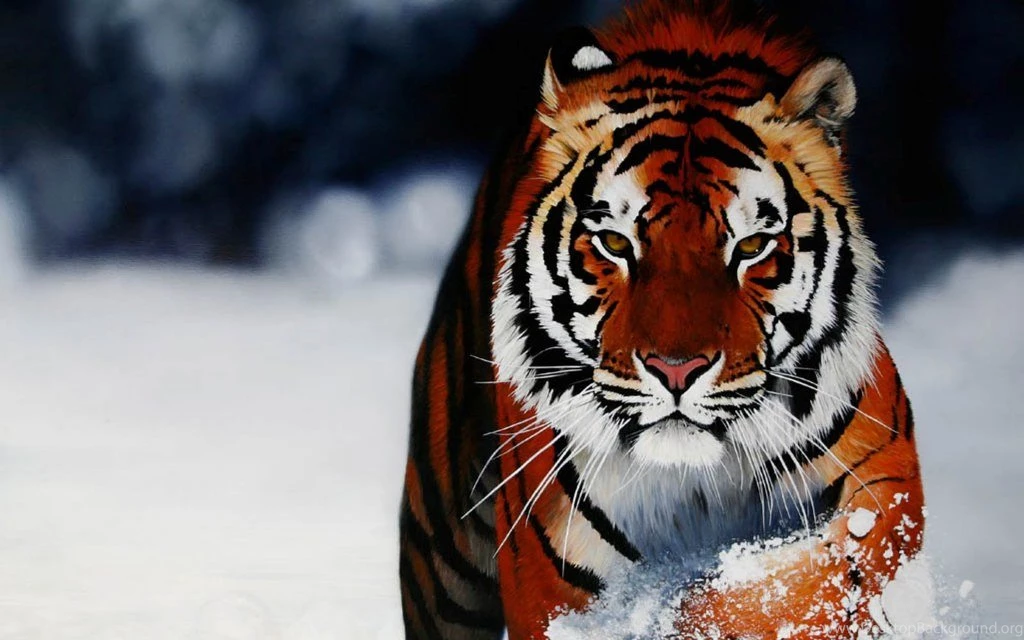 Cool Wallpaper Backgrounds High Quality 594 Seo Wallpapers