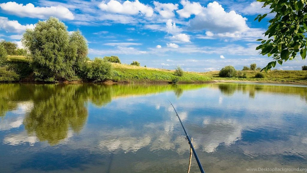 Mac iMac 27 Fishing Wallpapers HD, Desktop Backgrounds 2560x1440