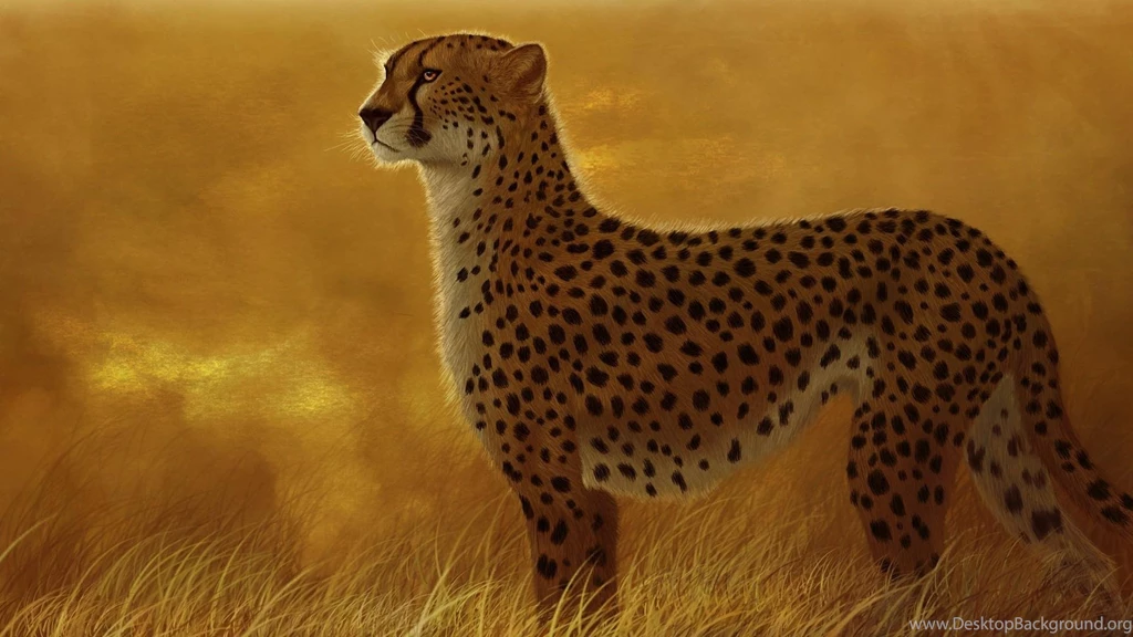 Grass Savanna >> HD Wallpaper, Get It Now!