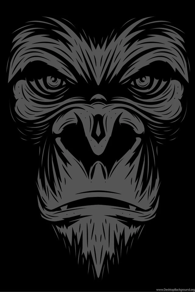 Free iPhone 4 Wallpapers