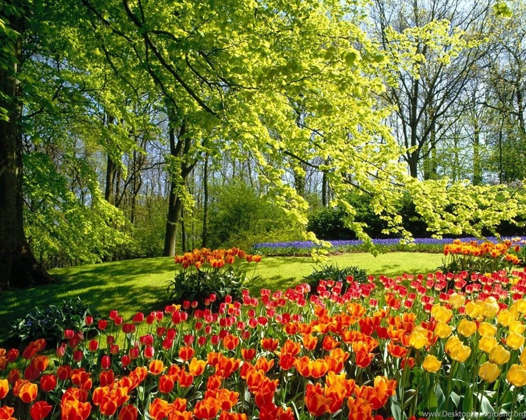 Wallpapers Nature Scenery Backgrounds Backgrounds Attachments HD W