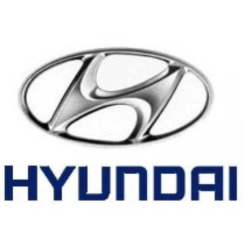 2013 geneva motor show: Hyundai Logo