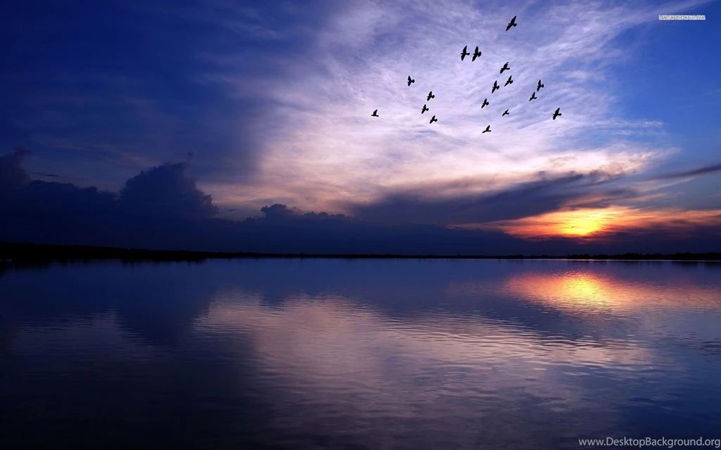 Birds Flying Over The River, Sky, Cloud, Sunset, Nature, 1920x1200 ...