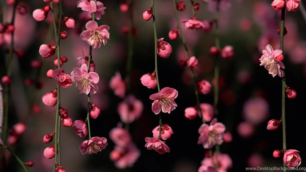 New Babies Hd Wallpapers 3d Hd Pictures.