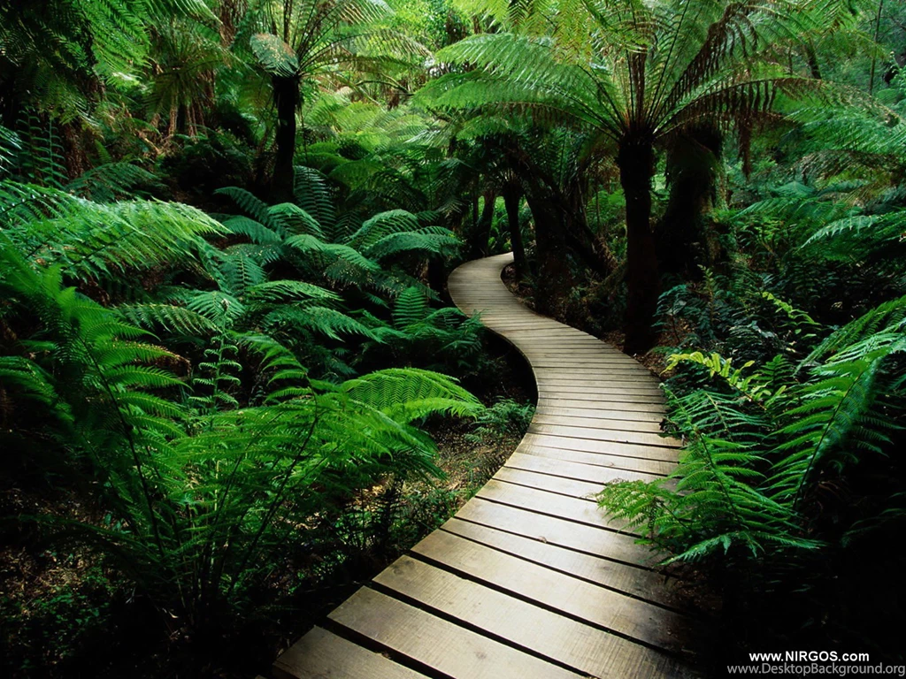 Free Wallpapers Downloads 79 Ipadwallpaperonline