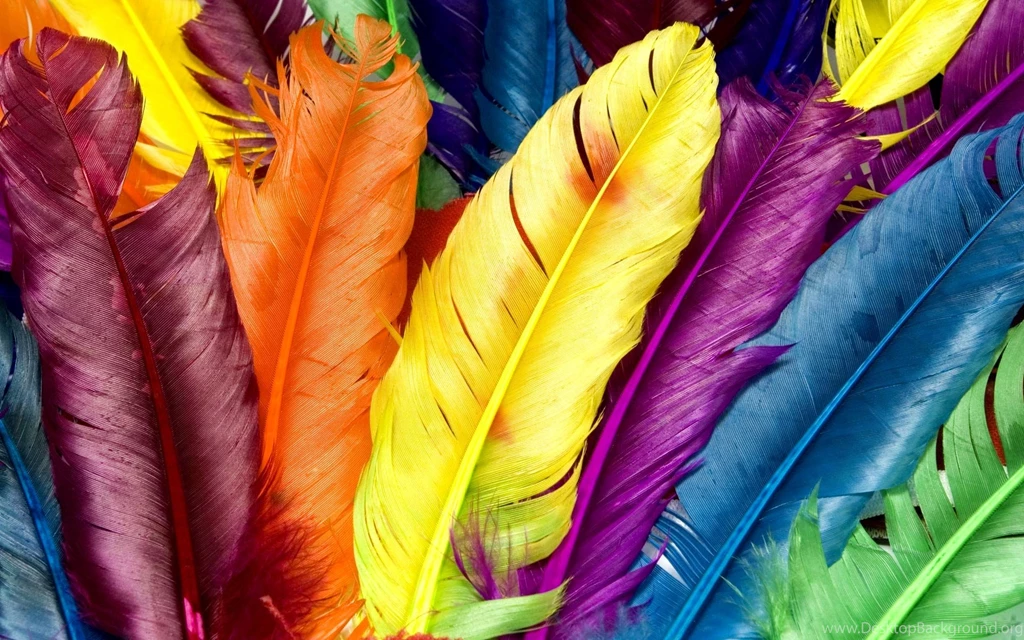 Desktop Wallpapers · Gallery · Computers · Colored Feathers
