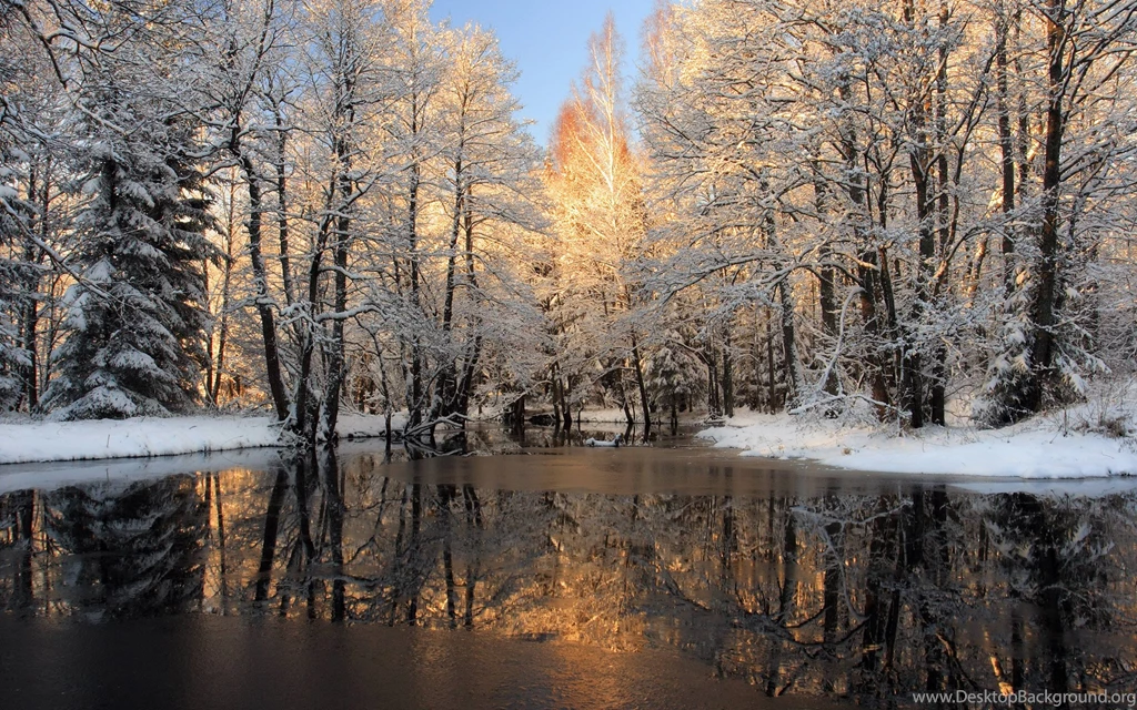 Free Desktop Winter Backgrounds Wallpapers Cave
