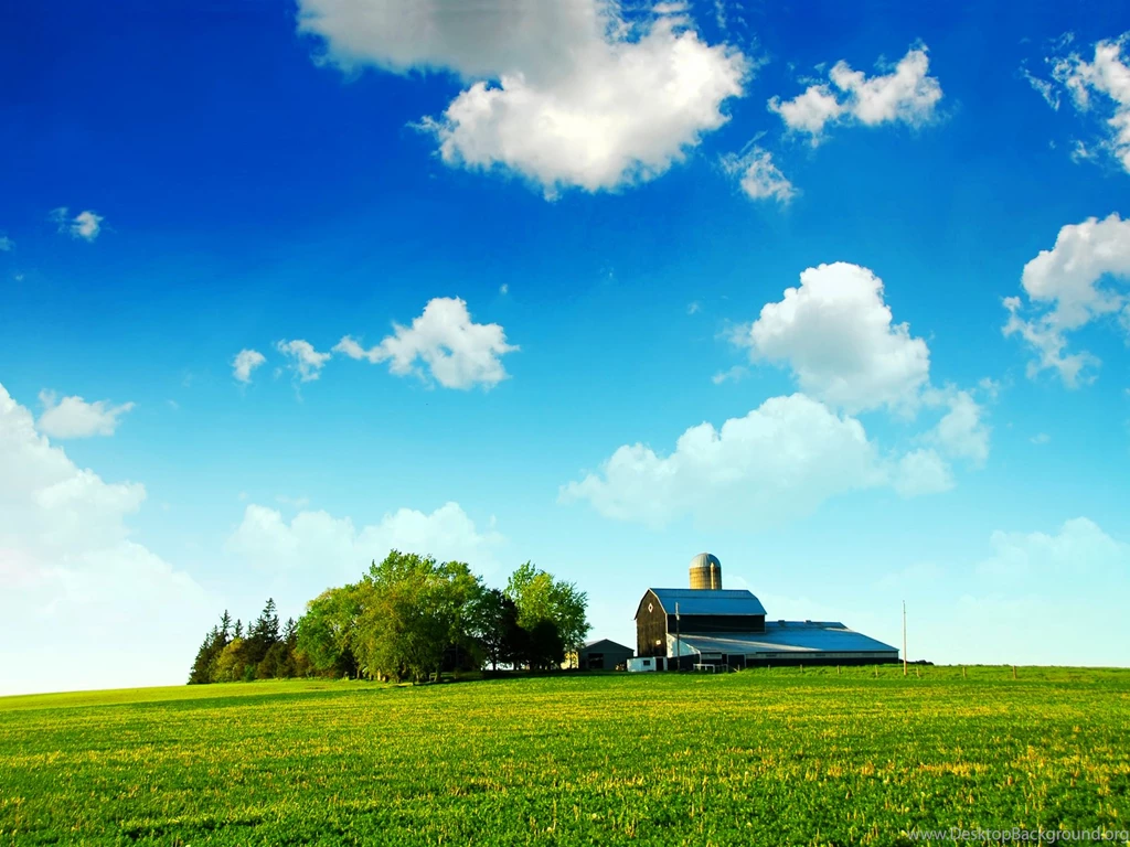 Farmland Blue Skies Bliss Wallpaper, Reforming Wall St And ...