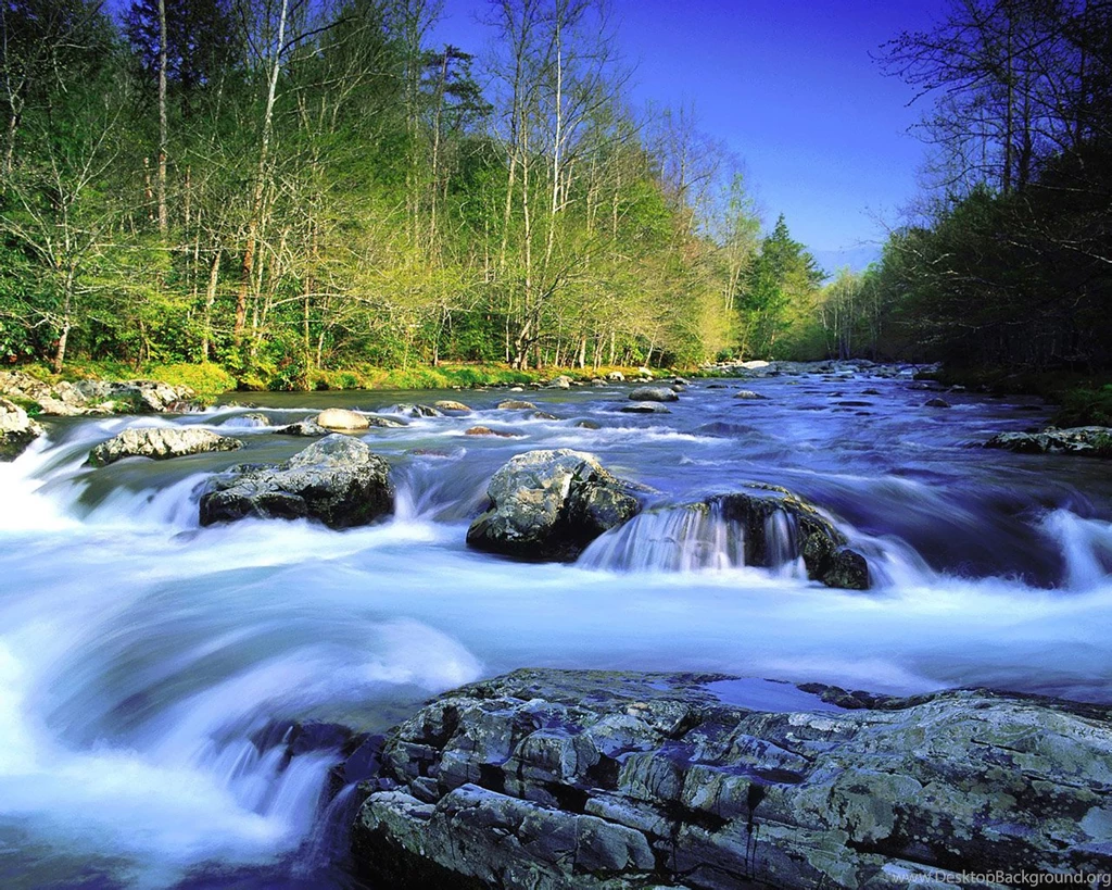 2016 Best Wallpapers, Desktop Wallpapers, PC Wallpapers: 1280x1024 ...