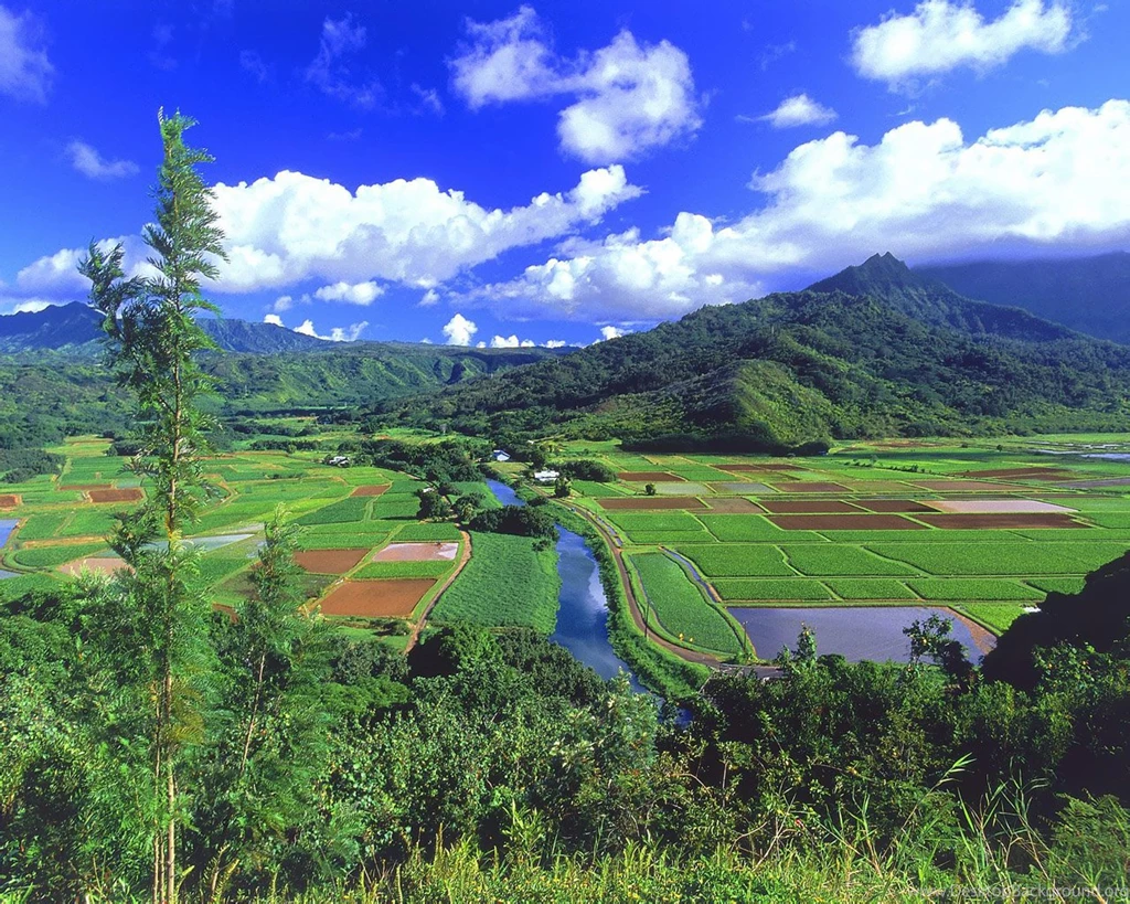 1280x1024 Nature Wallpapers,Beautifull Natural Wallpapers Free ...