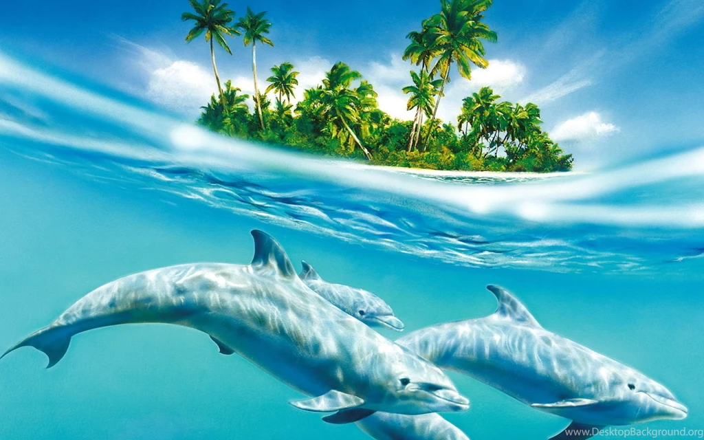 Download Wallpapers 1920x1200 Dolphin, Palm Trees, Wind, Waves, Sea ...