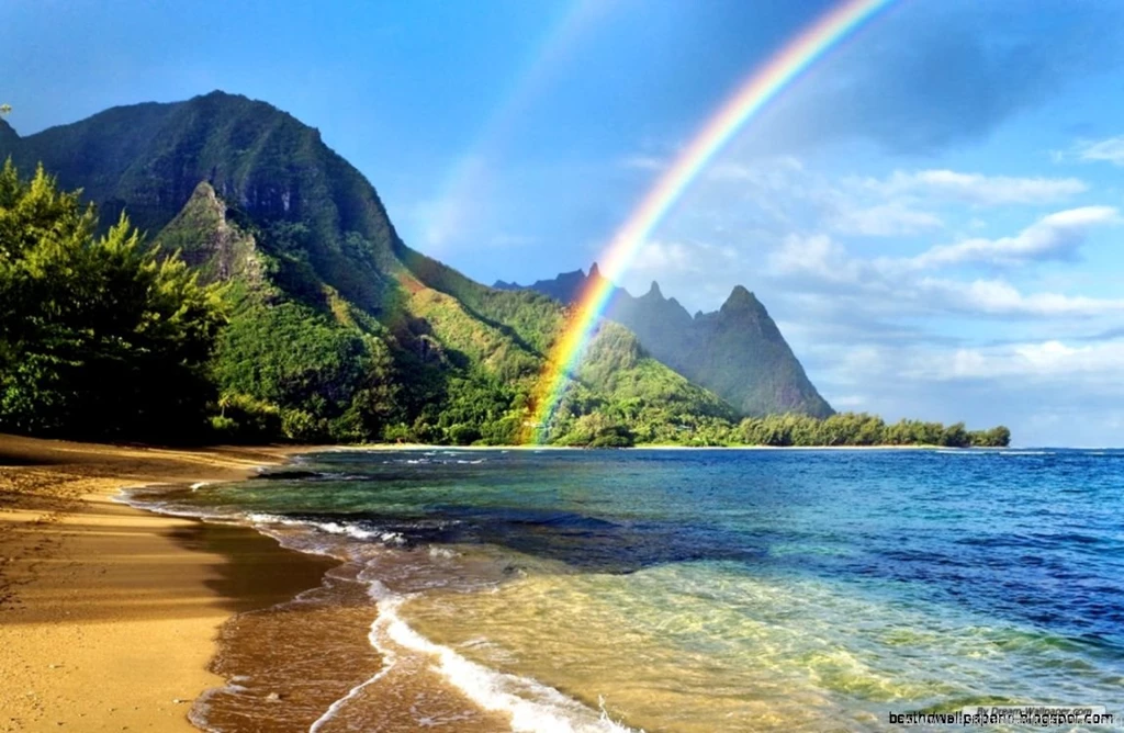 Landscape Wallpaper Backgrounds Windows Seven