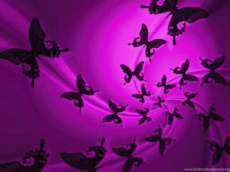 Pretty Purple Backgrounds