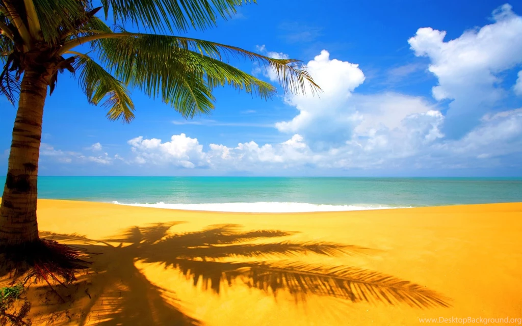 Cool Wallpapers 62C HD NextFinish.com
