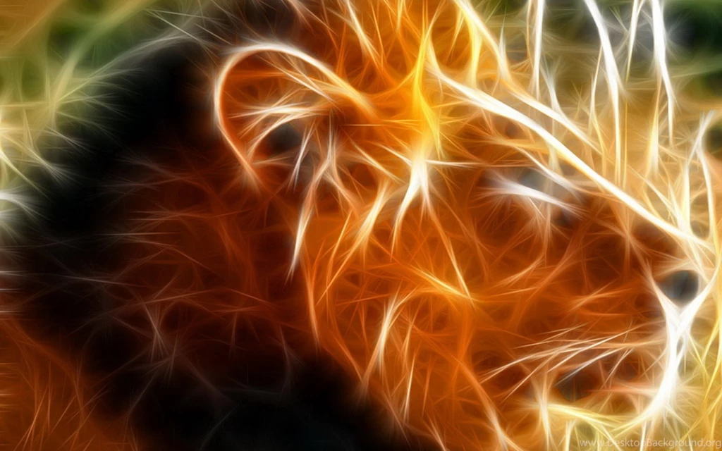 Fire Lion Wallpapers