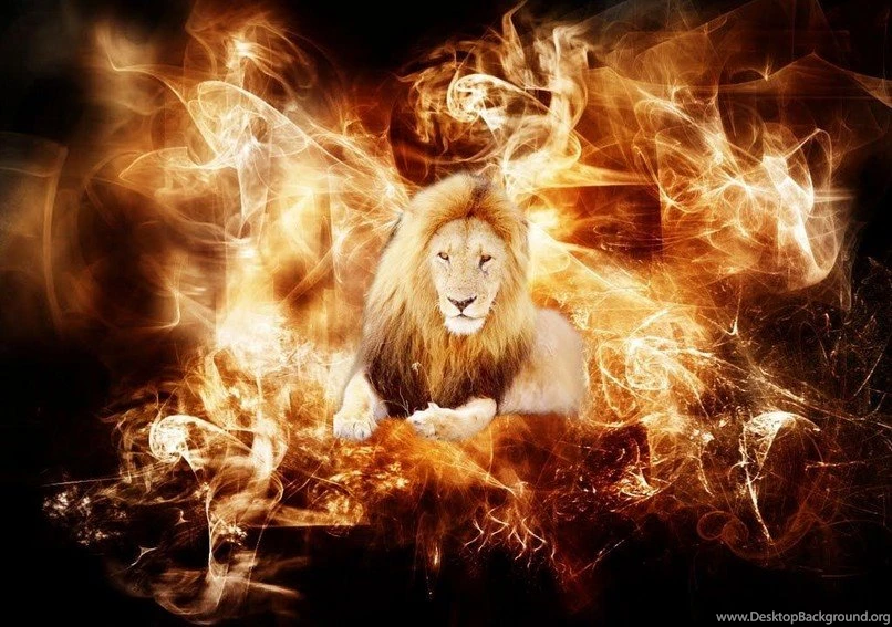 10 Best Lion Wallpapers Free Download Find Quotes , Beautiful ...