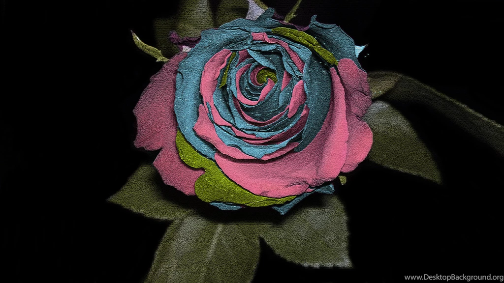 Rose Coloured Computer Wallpapers, Desktop Backgrounds