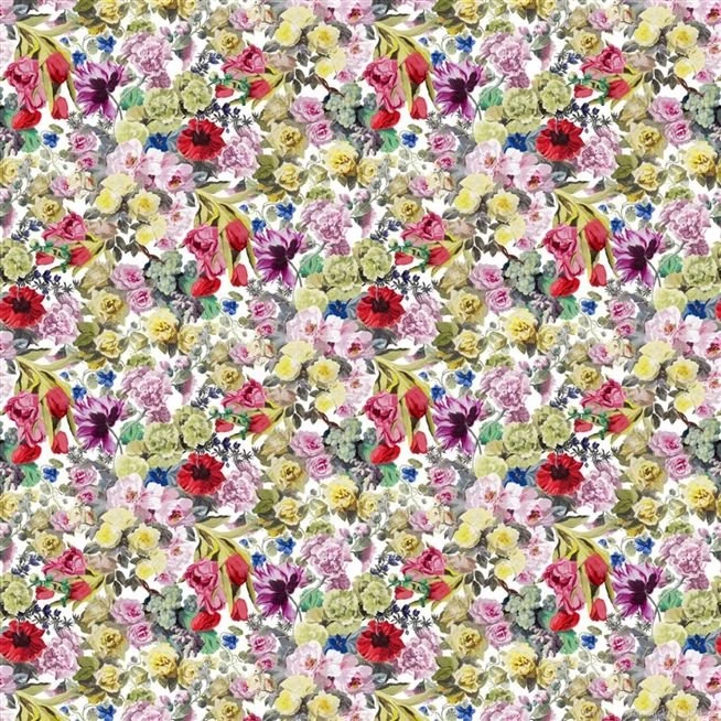 Orangerie Rose Wallpapers