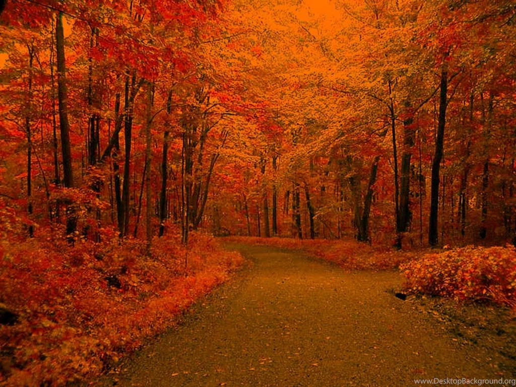 Free Autumn Road Backgrounds
