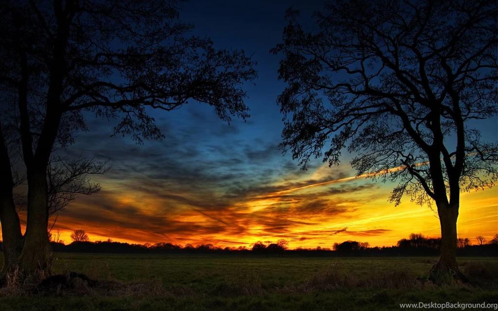3d Hd Nature Wallpapers Latest Wallpapers
