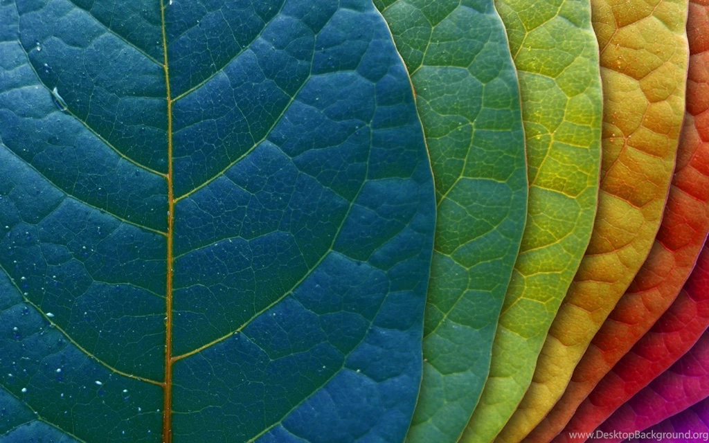 Tablet Backgrounds Hd014
