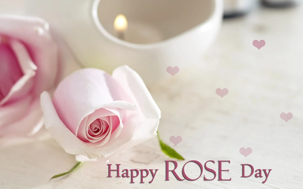 Happy Rose Day Images With Quotes Download For BF/GF Hahaquotes.com