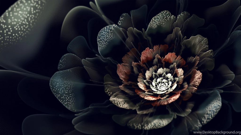 Black Roses HD Wallpapers Free Downloads