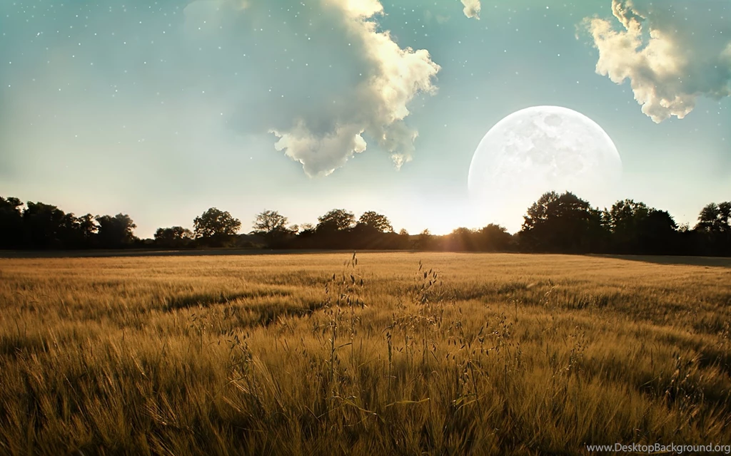 Theme Bin» Blog Archive » Cloudy Day HD Wallpapers