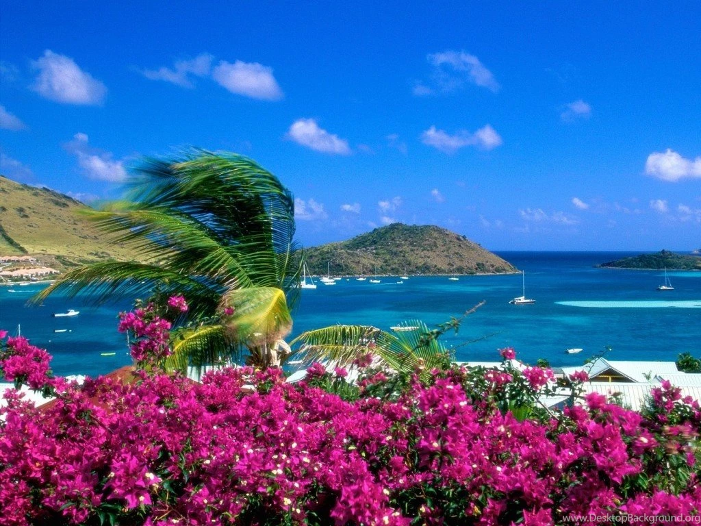50+ Amazing Beach Wallpapers For Your Desktop Magazine Fuse