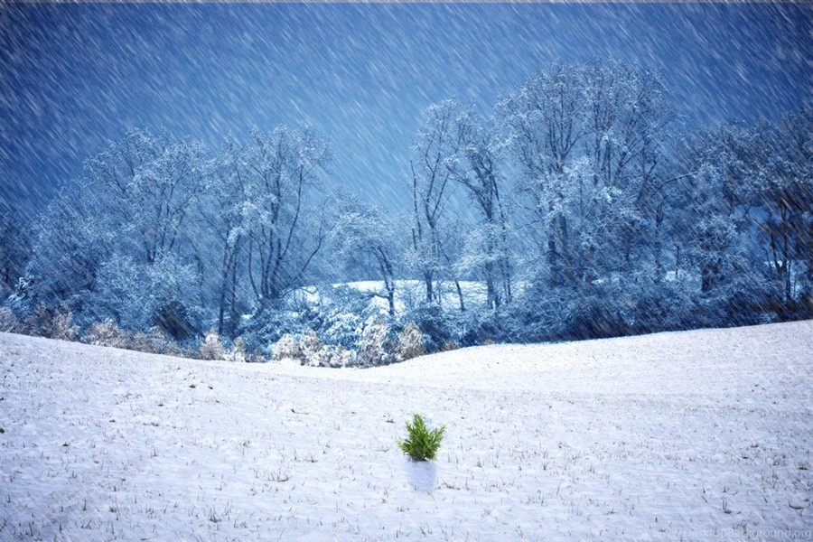 Winter Time Storm Wallpapers By TheOriginalFullMetal On DeviantArt