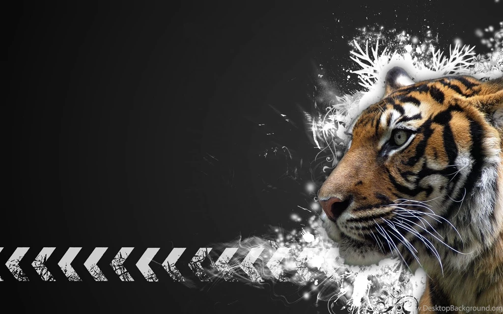 Wallpapers Wide Hd Widescreen HD Wallpapers