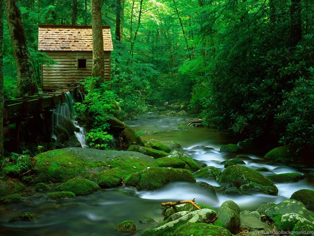 Reagan Mill Roaring Fork Great Smoky Mountains National Park ...