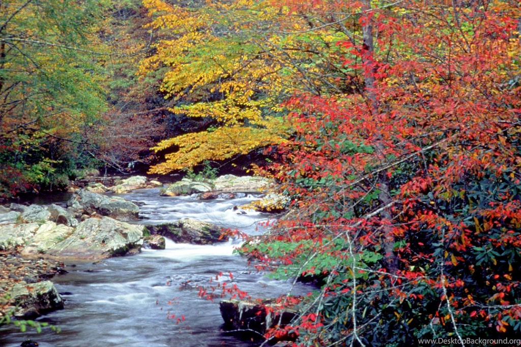 Great Smoky Mountain National Park Travellerguidance.com