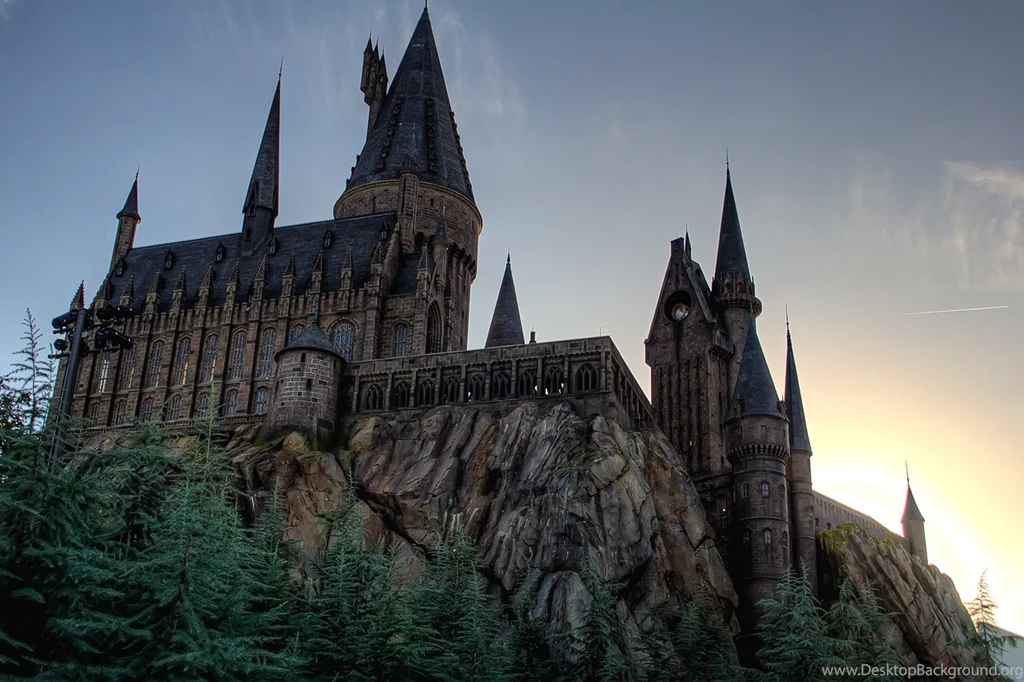 Harry Potter Chapter