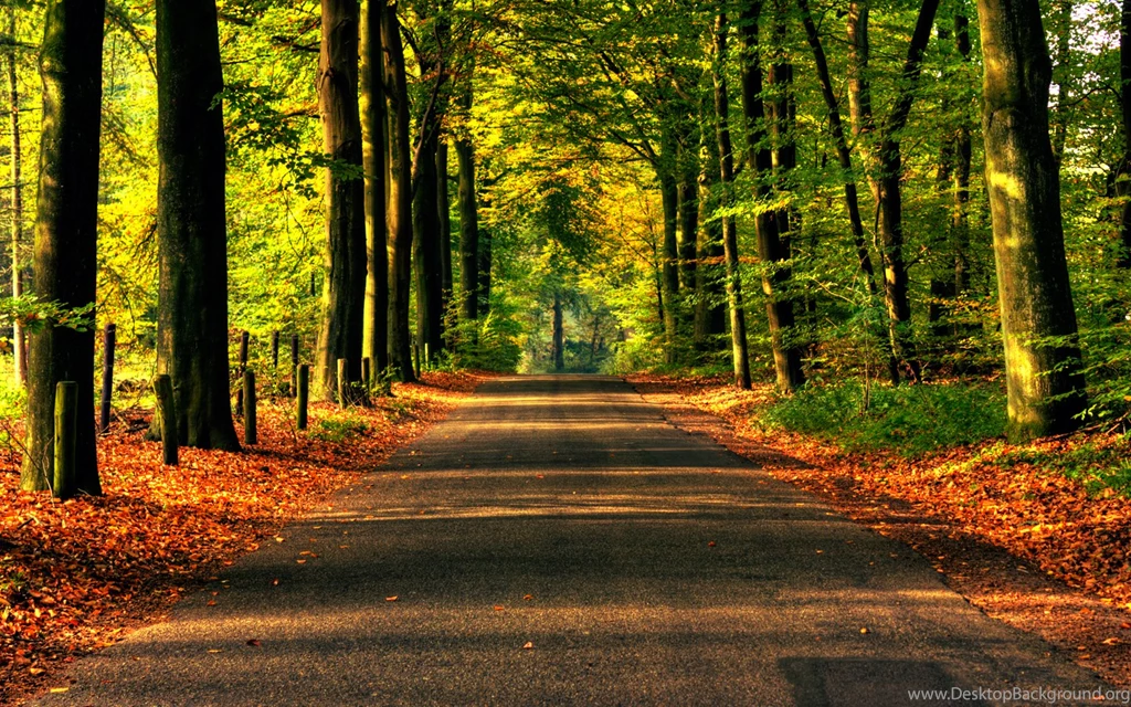 Fall Wallpapers Road Wallpapers