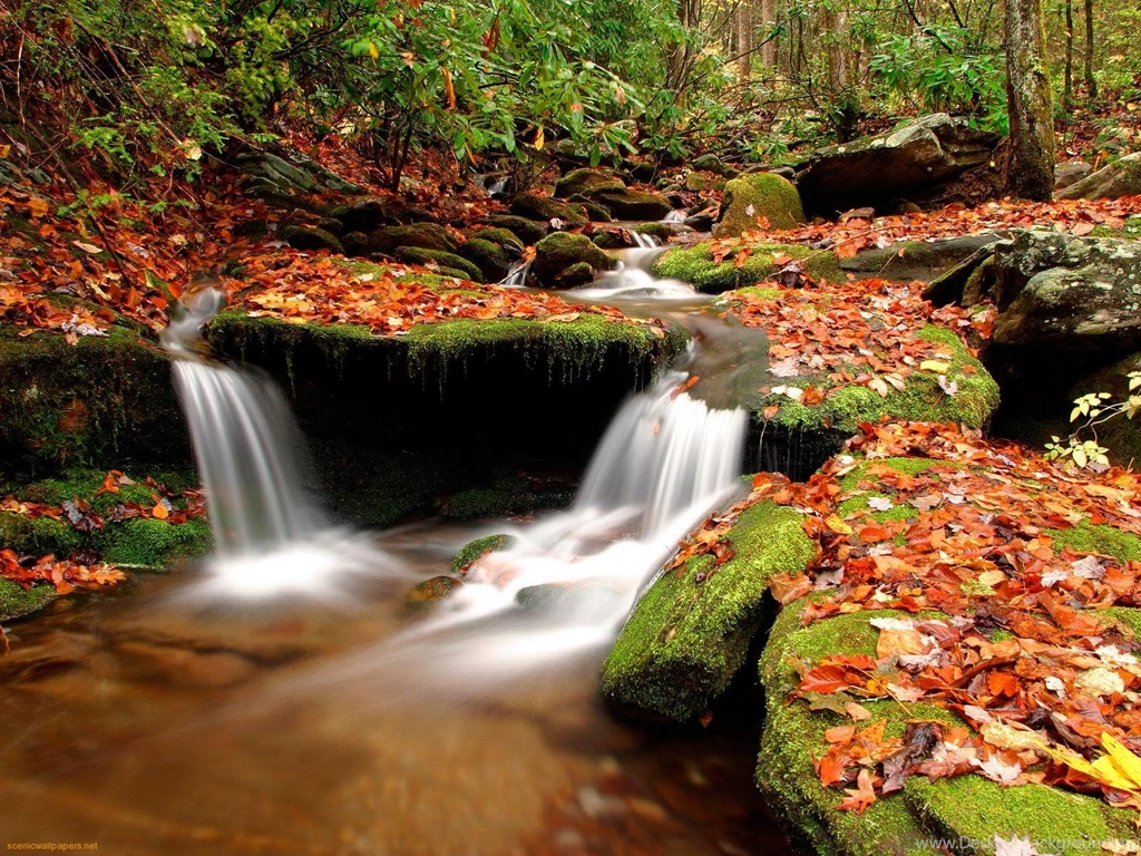 Autumn Wallpapers Colors Wallpapers
