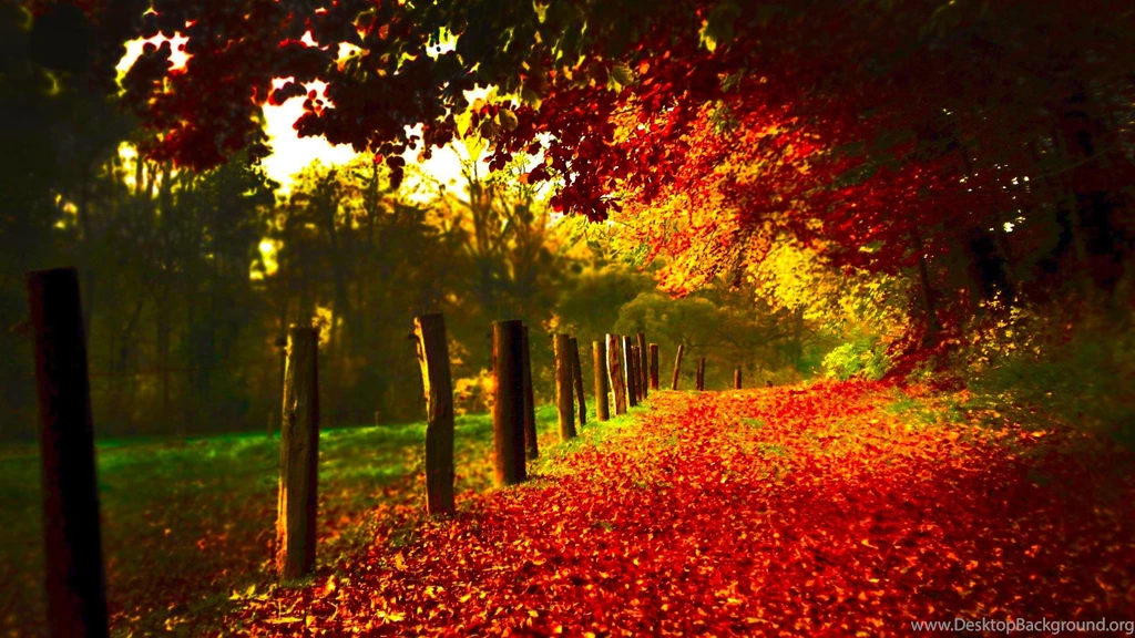 Fall Autumn Wallpapers Archives Page 3 Of 6 Wallpapers