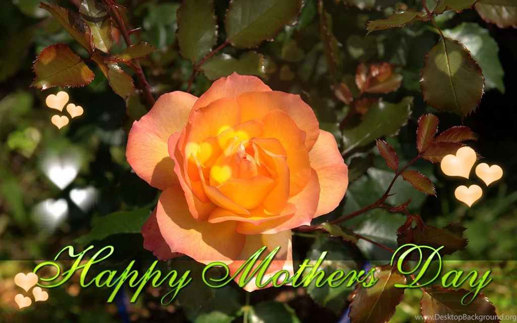 Happy Valentine's Day Cards And Wallpapers Happy Valentine's Day ...