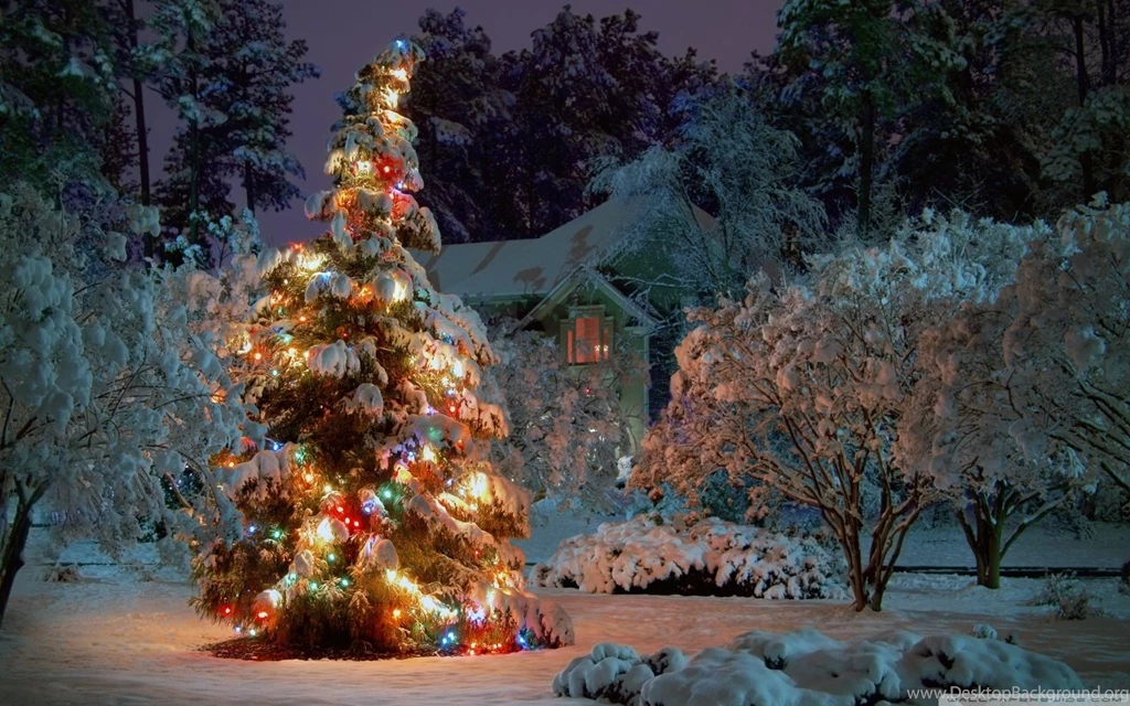 Christmas At Night HD Desktop Wallpapers : High Definition ...