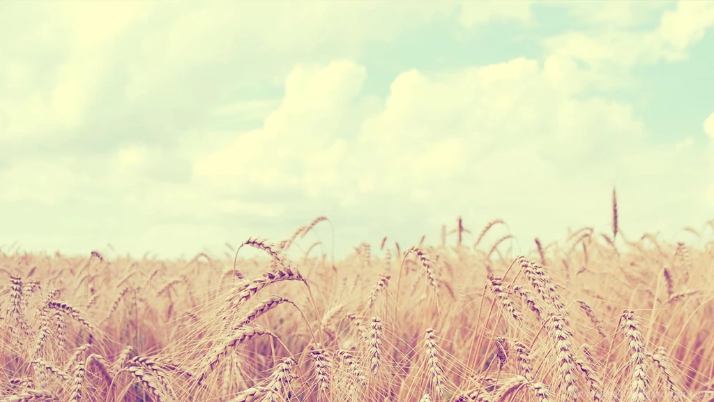 Hd Hipster Desktop Wallpapers 11