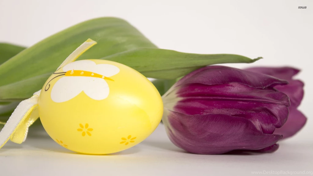 Easter Egg And Purple Tulip Wallpapers Holiday Wallpapers