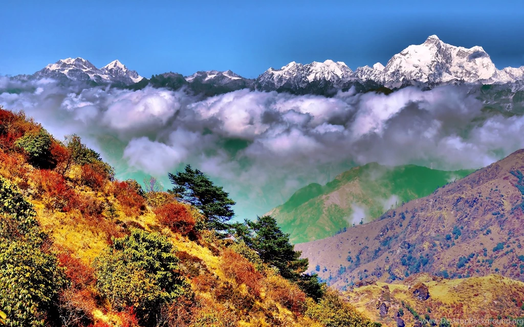 Singalila National Park, West Bengal, India, Himalayas, Autumn ...