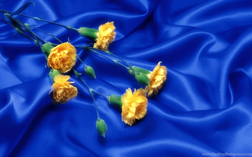 Romantic Heart Wallpapers Romantic Love Wallpapers 1 Best Romantic ...