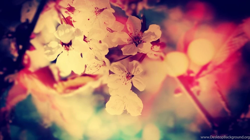 Pretty Wallpapers For Computer Wallpapers Cave