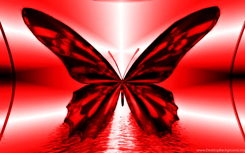 Red Butterfly Cool Backgrounds Wallpapers 7053 HD Wallpapers Site