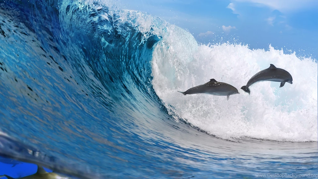 Download Wallpapers 3840x2160 Dolphins, Ocean, Wave, Freedom 4K ...